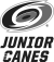 6184edb3a8b763007930e6f1_JuniorCanes-Btopbot